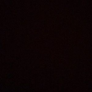 Meet your Posher, Tabitha